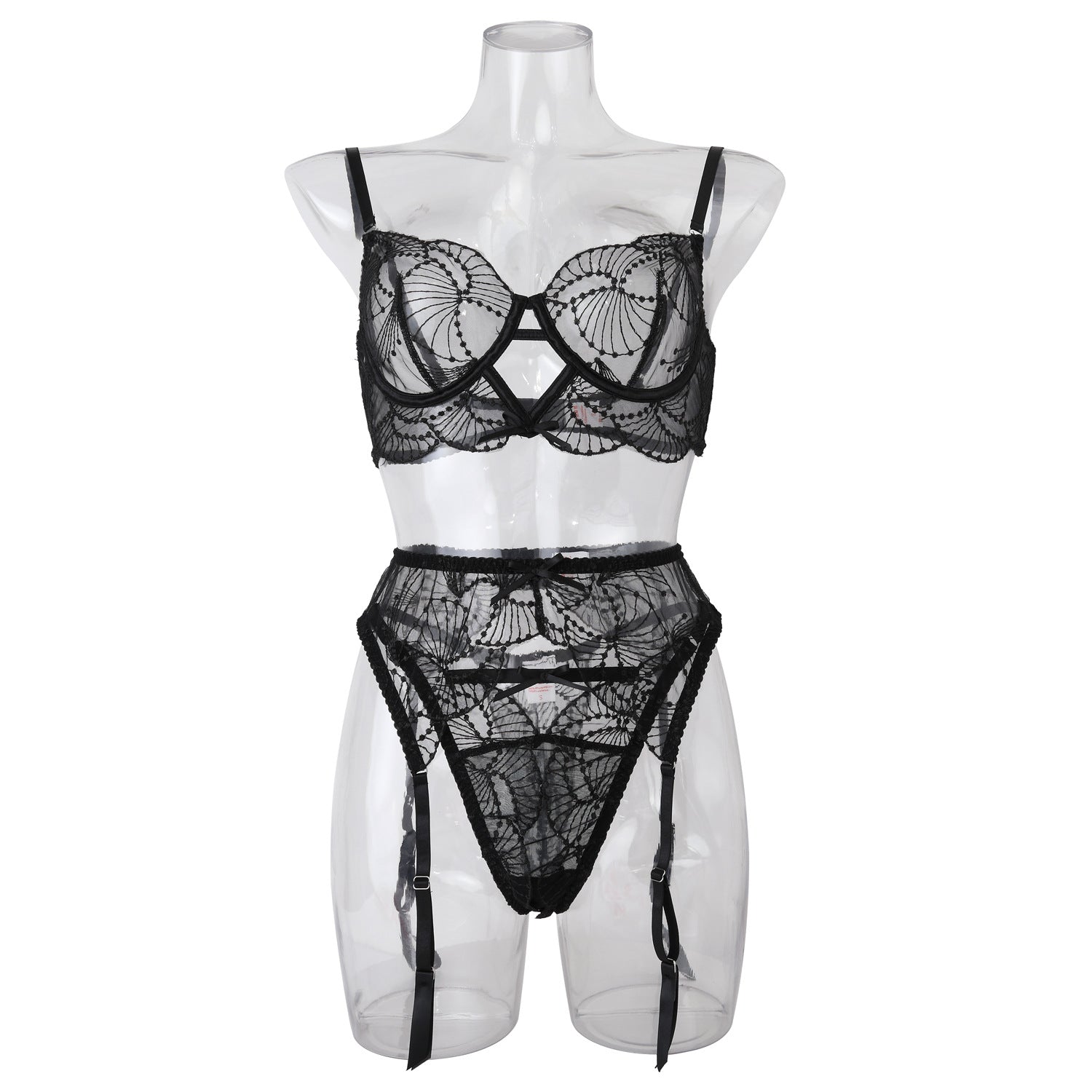 Elegance Sheer Bra and Panty Ensemble with Suspenders Front View